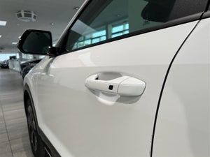 Kia Niro EV Upgrade