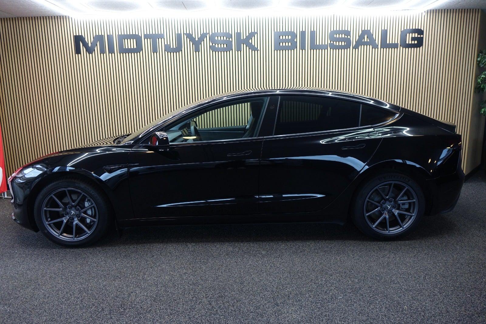 Tesla Model 3, Billede 2