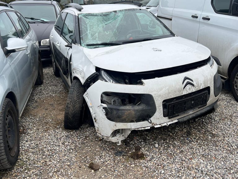 Citroën C4 Cactus BlueHDi 100 Feel Van