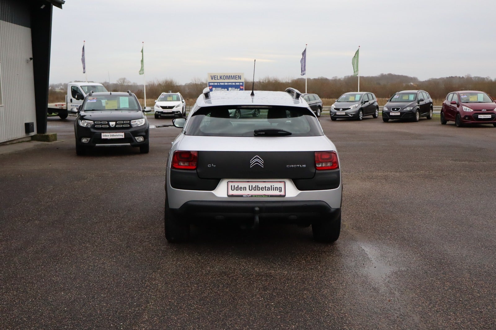 Billede af Citroën C4 Cactus 1,2 PureTech 110 Shine