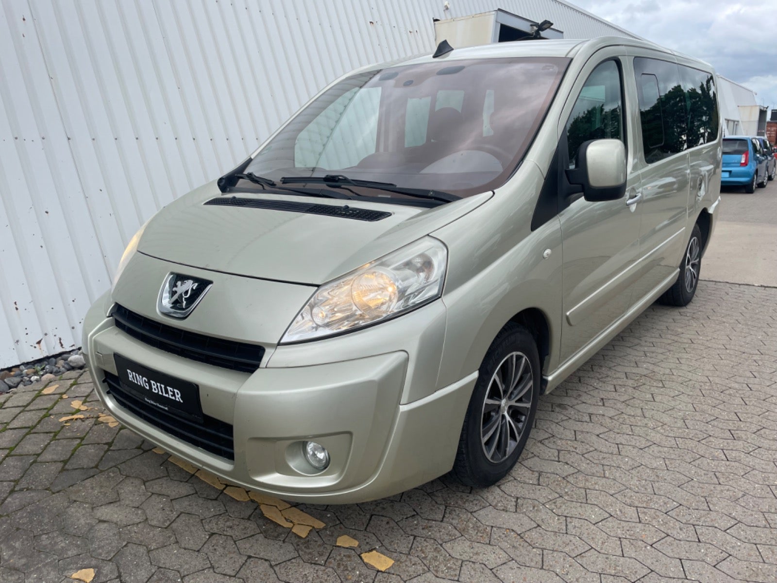 Peugeot Expert Tepee 2009