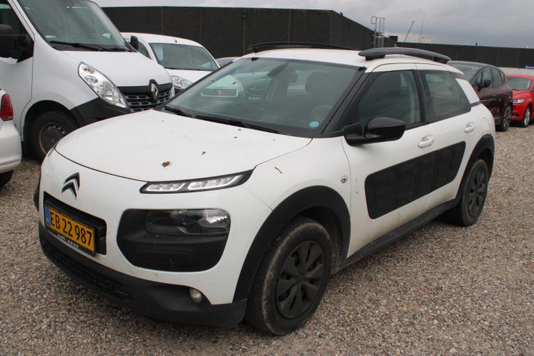 Citroën C4 Cactus BlueHDi 100 Feel Van