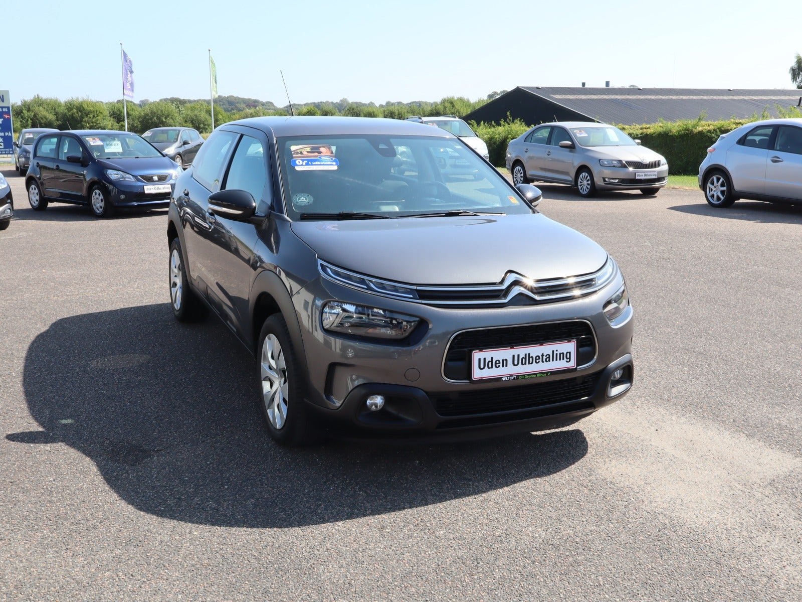 Billede af Citroën C4 Cactus 1,5 BlueHDi 100 Origins