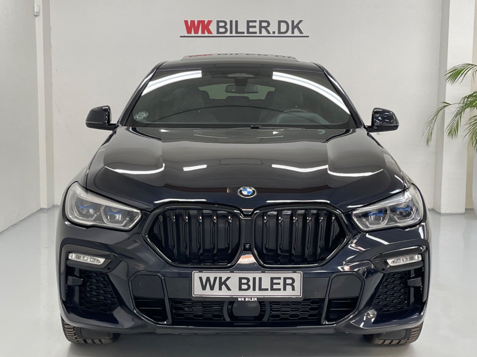 BMW X6 2019