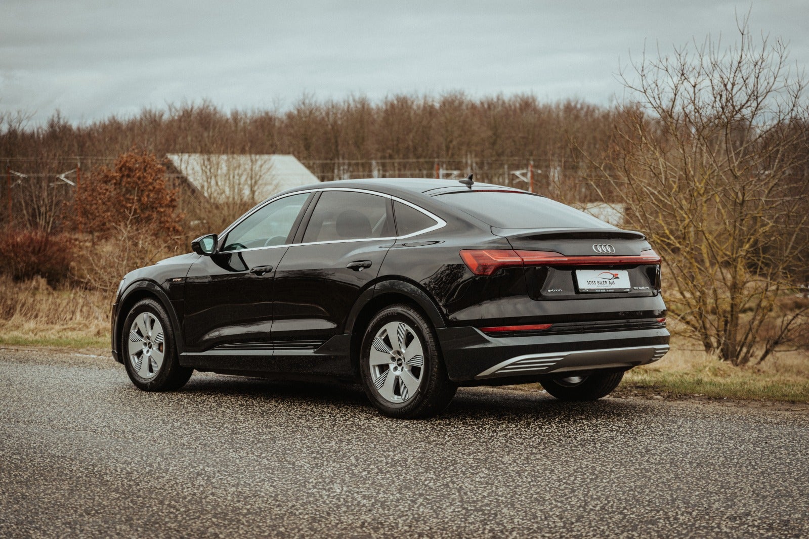 Billede af Audi e-tron 50 Advanced Prestige Sportback quattro