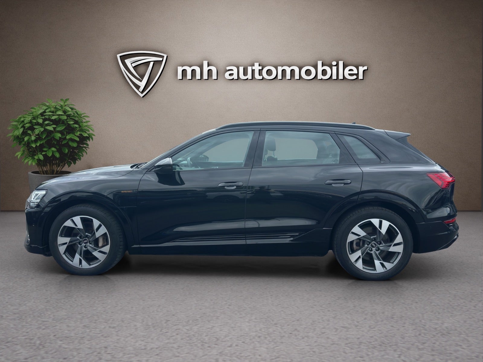Billede af Audi e-tron 55 S-line quattro
