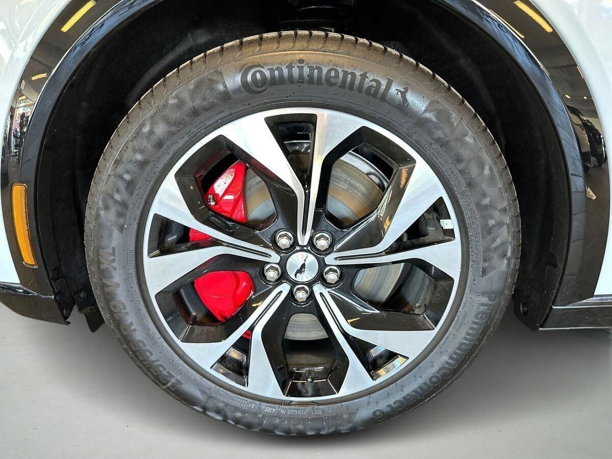 Ford Mustang Mach-E Extended Range billede 6