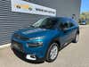 Citroën C4 Cactus BlueHDi 100 SkyLine Van