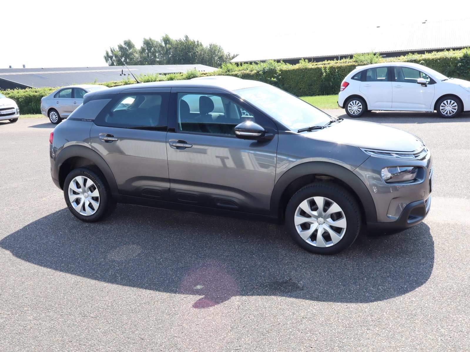 Billede af Citroën C4 Cactus 1,5 BlueHDi 100 Origins
