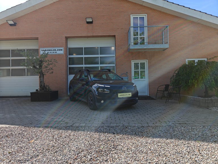 Citroën C4 Cactus BlueHDi 100 Shine Van
