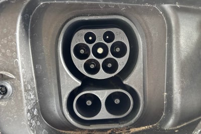 BYD Dolphin Design