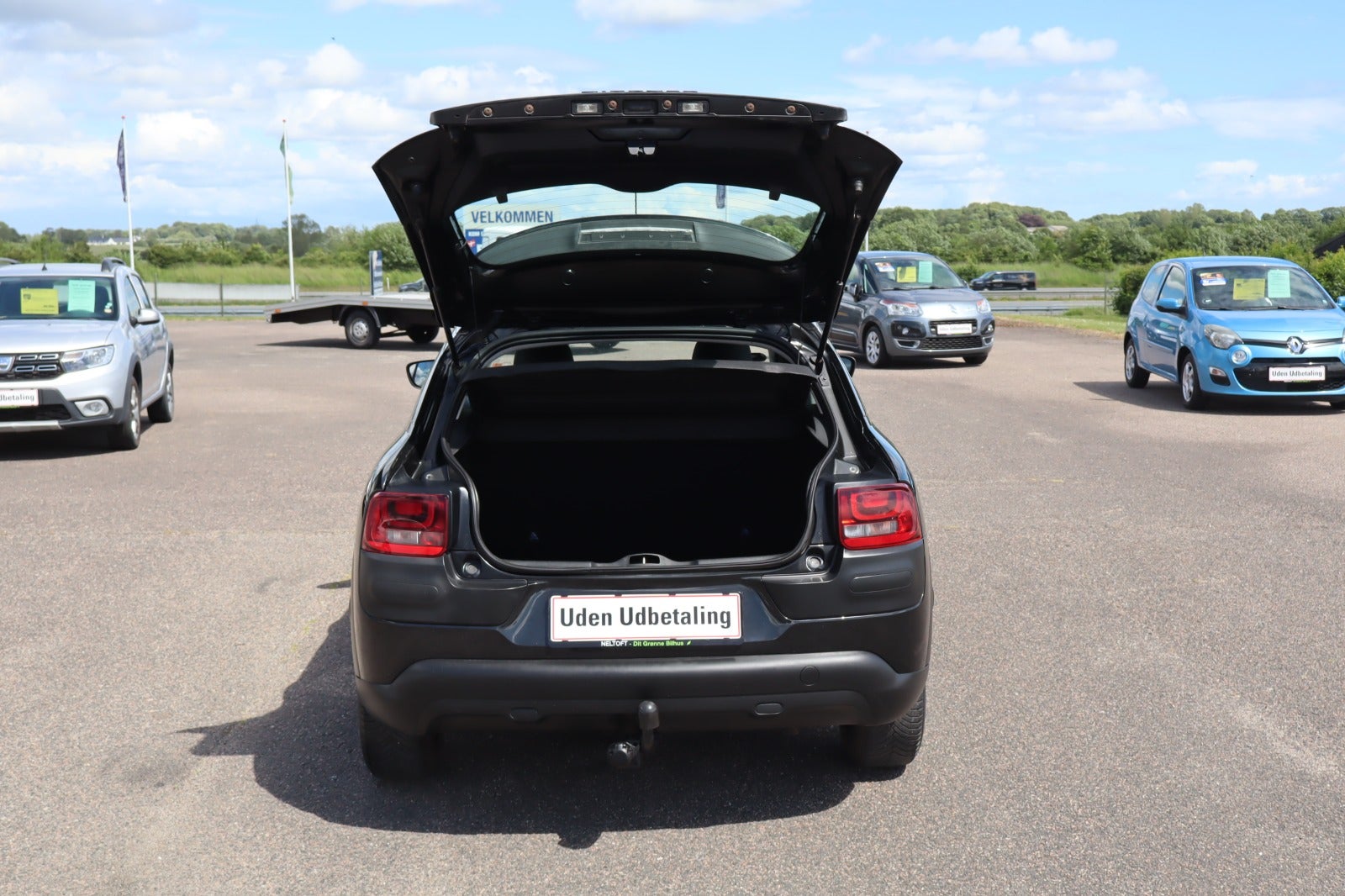 Billede af Citroën C4 Cactus 1,6 BlueHDi 100 Shine Edition