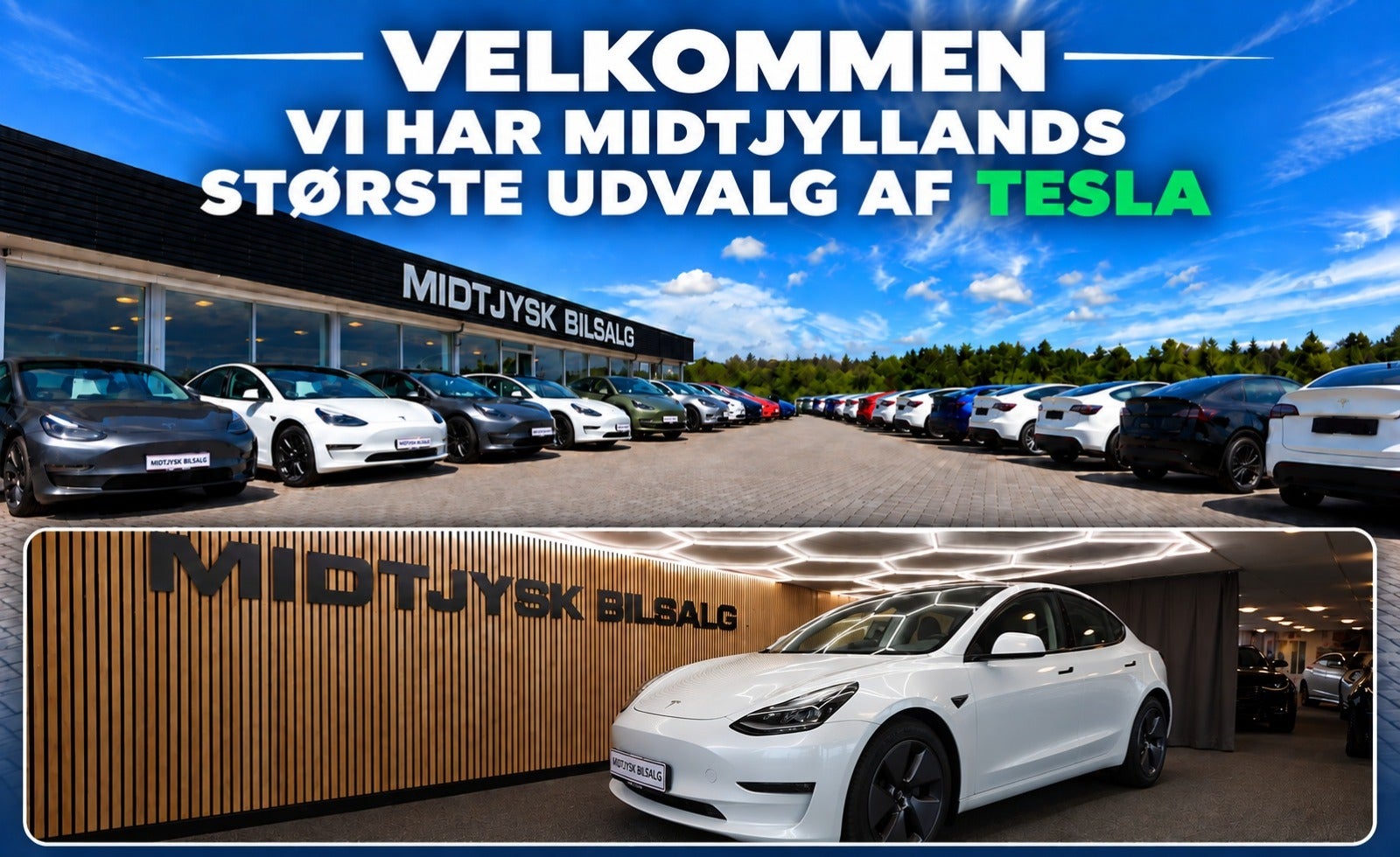Tesla Model 3, Billede 1