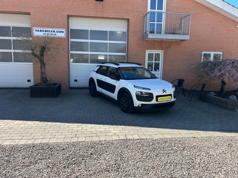 Citroën C4 Cactus BlueHDi 100 Feel+ Van