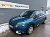 Citroën C4 Cactus BlueHDi 100 SkyLine Van