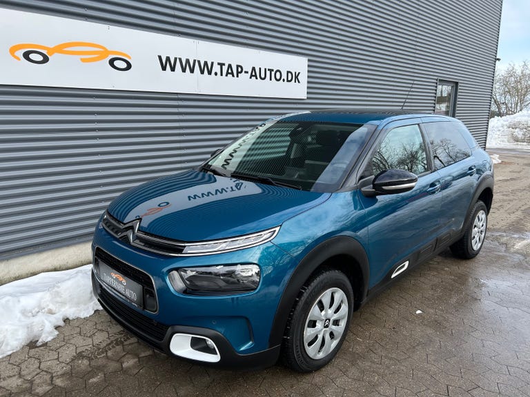 Citroën C4 Cactus BlueHDi 100 SkyLine Van