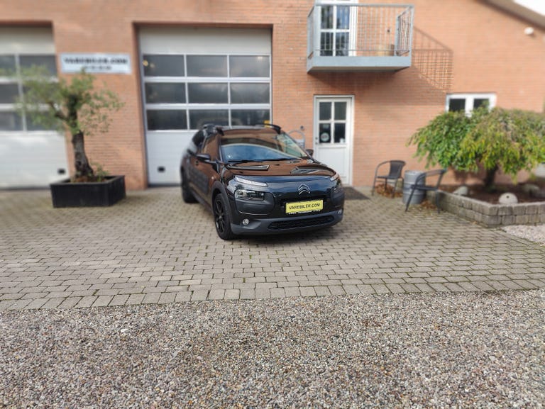 Citroën C4 Cactus BlueHDi 100 Feel Van