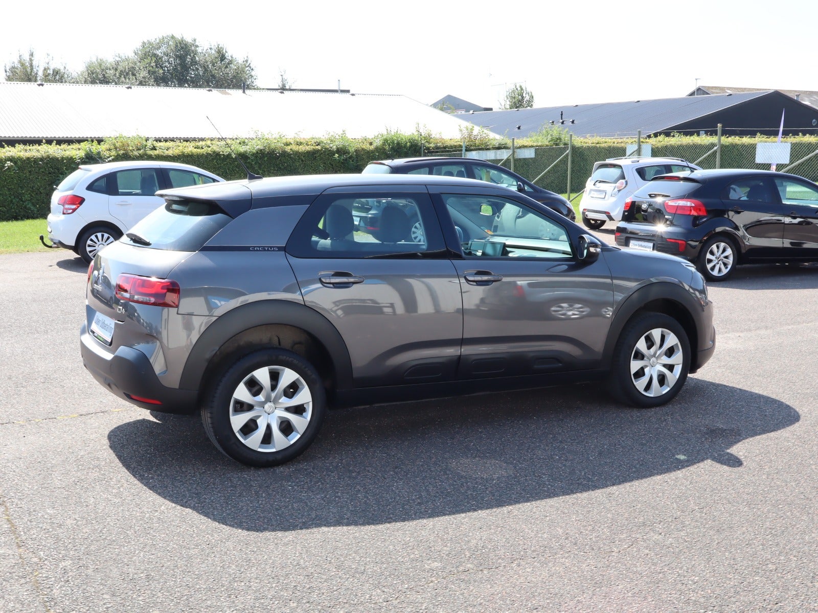 Billede af Citroën C4 Cactus 1,5 BlueHDi 100 Origins
