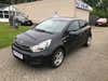 Kia Rio CVVT Collect thumbnail