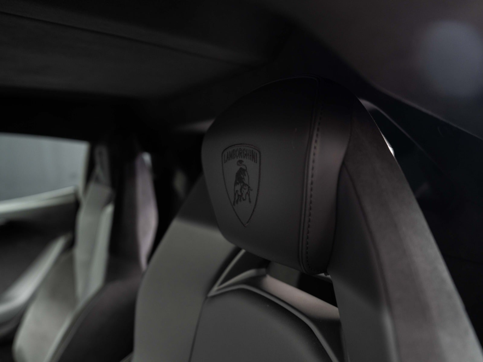 Gallery image 14 of 14