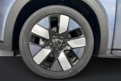 BYD Dolphin Design