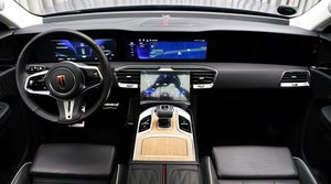Hongqi E-HS9 Exclusive