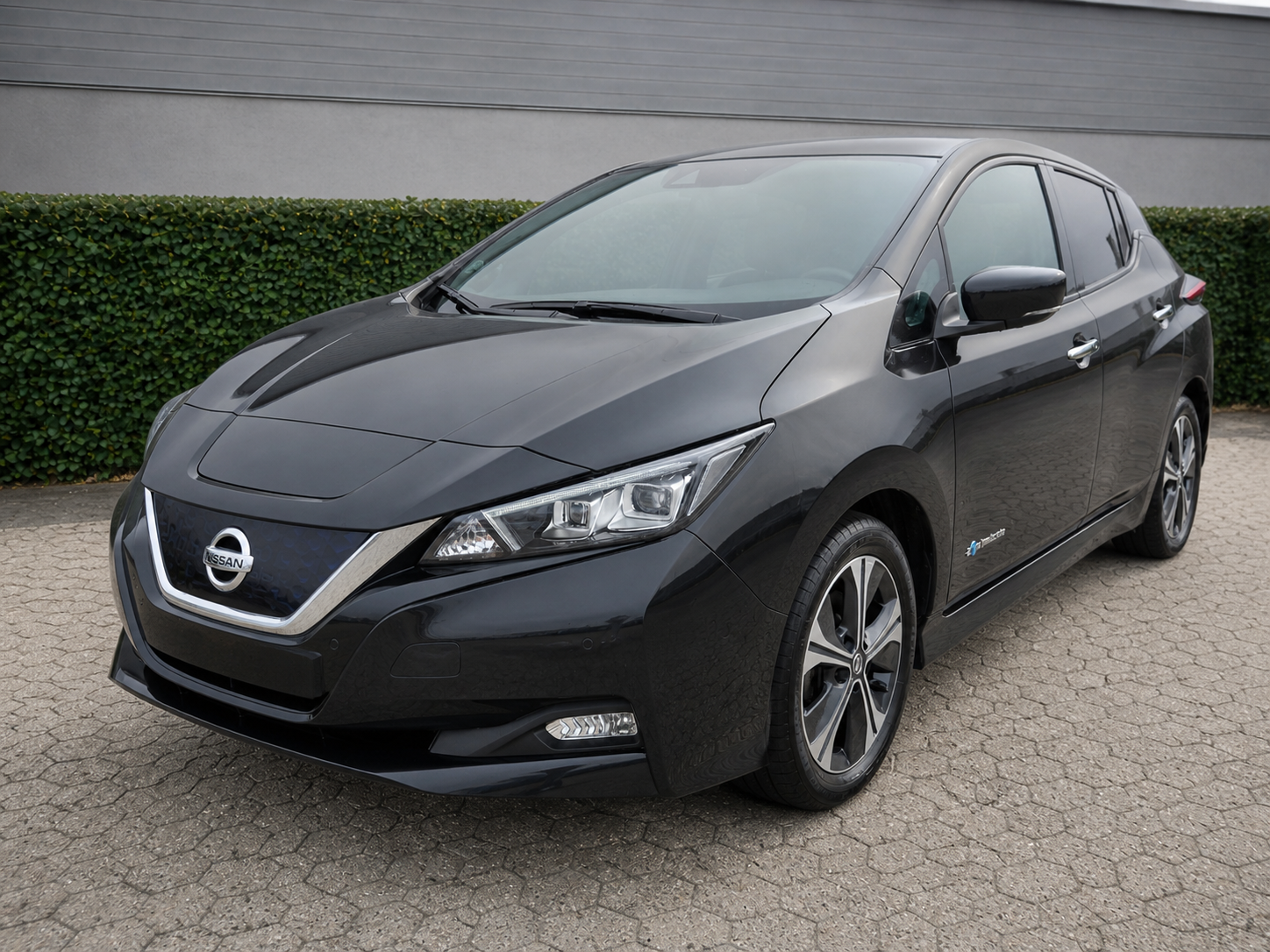 Nissan Leaf e+ Tekna