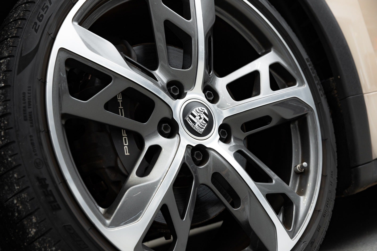 Gallery image 12 of 19