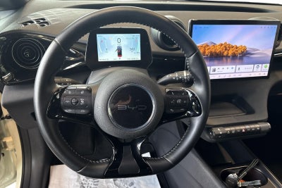 BYD Dolphin Comfort