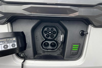 Kia Niro EV Access