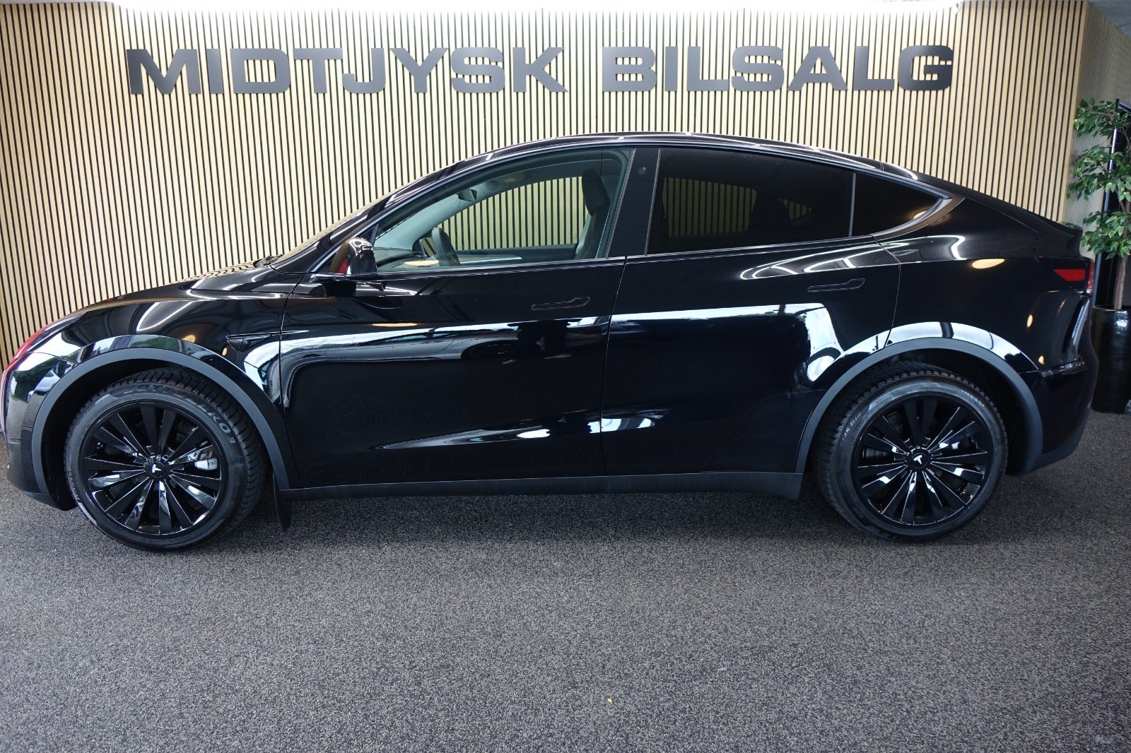 Tesla Model Y, Billede 2