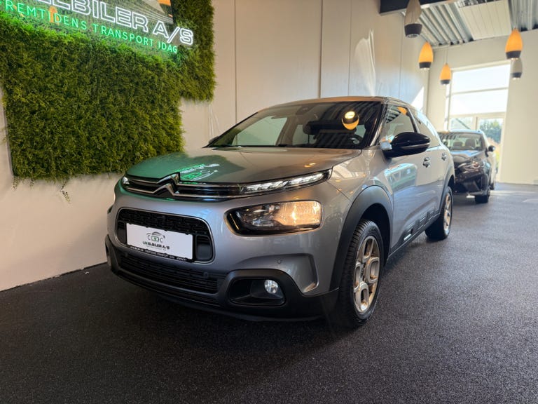 Citroën C4 Cactus PureTech 110 SkyLine