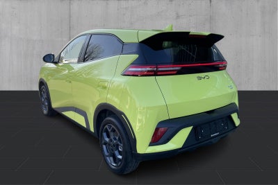 BYD Dolphin Surf Comfort - 2