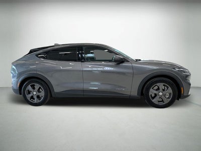 Ford Mustang Mach-E Standard Range billede 1