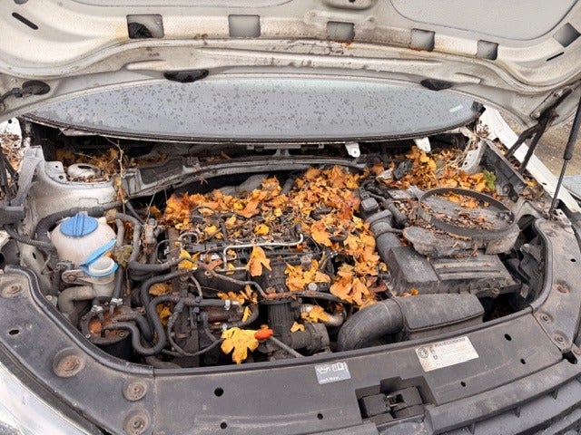 VW Caddy TDi 75 BMT Van