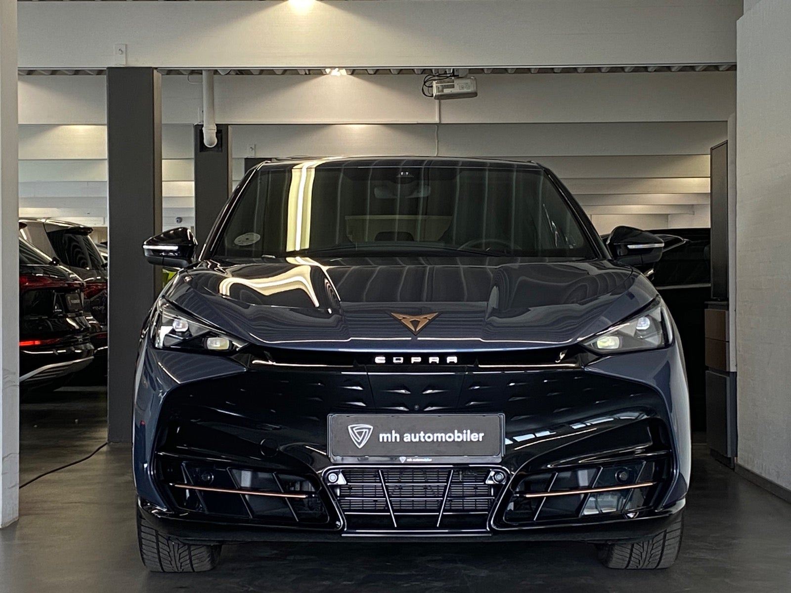 Billede af Cupra Tavascan 77 VZ Adrenaline