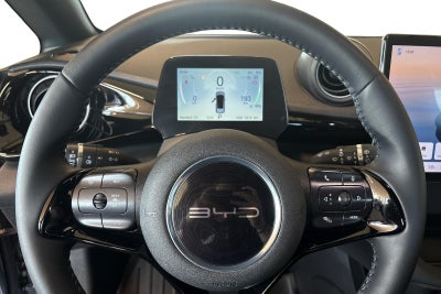 BYD Dolphin Comfort