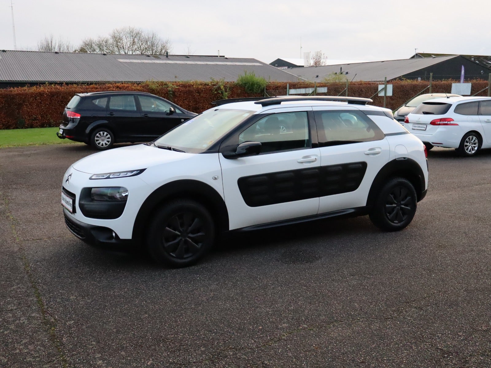Billede af Citroën C4 Cactus 1,6 BlueHDi 100 Shine
