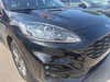 Ford Kuga PHEV ST-Line X CVT thumbnail