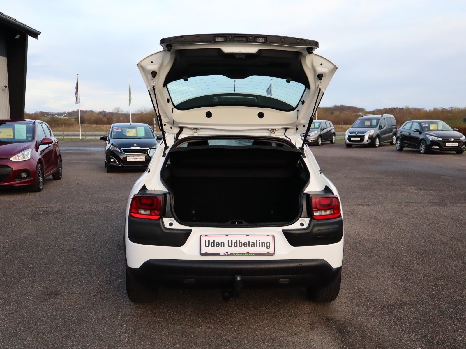 Billede af Citroën C4 Cactus 1,6 BlueHDi 100 Shine