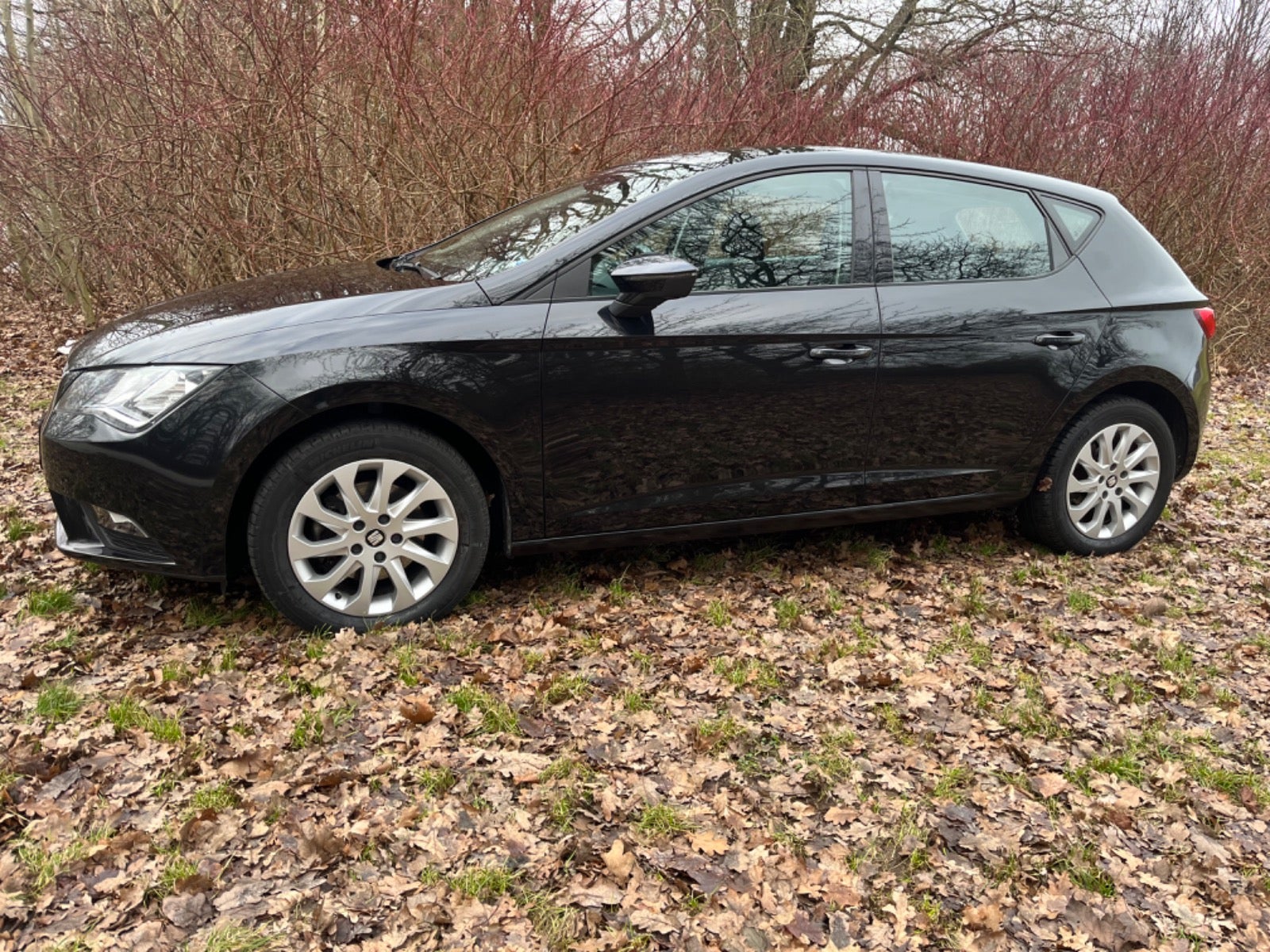 Seat Leon 2013