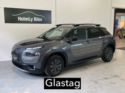 Citroën  C4 Cactus BlueHDi 100 SkyLine