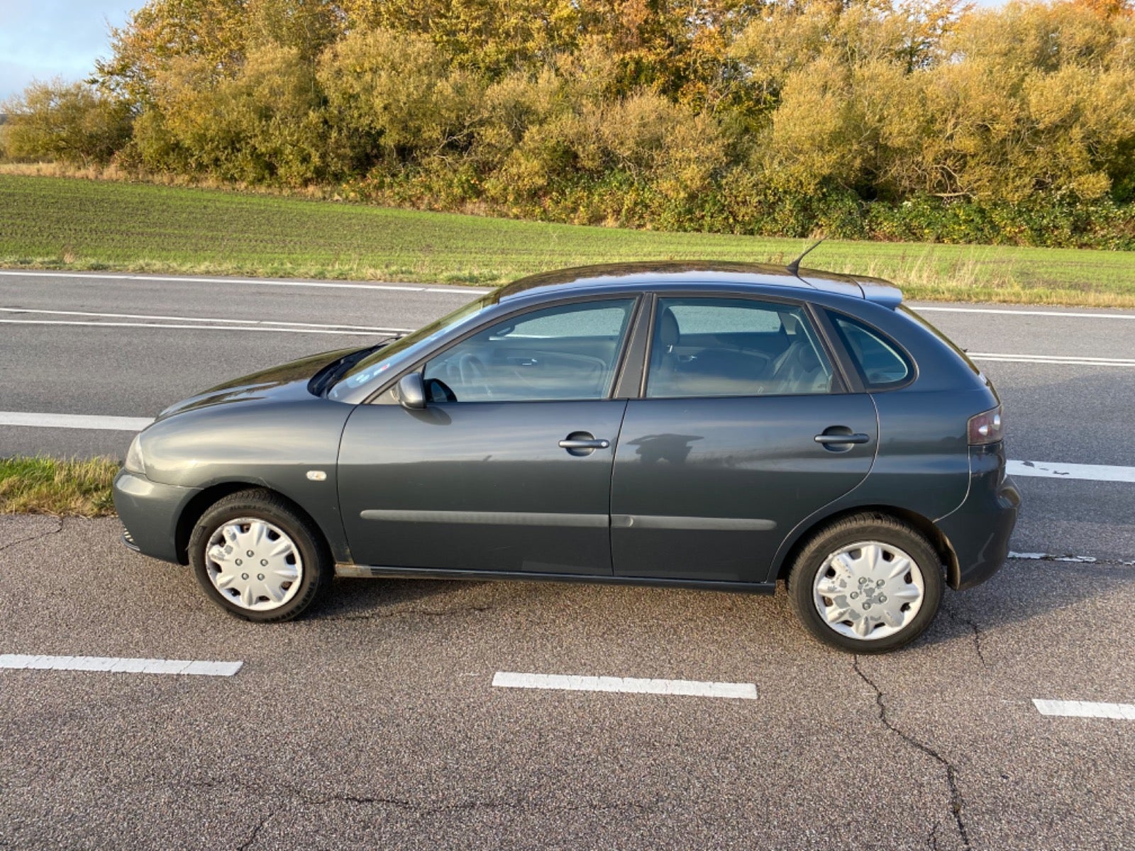 Seat Ibiza, Billede 4