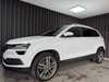Skoda Karoq TSi 150 Style DSG thumbnail