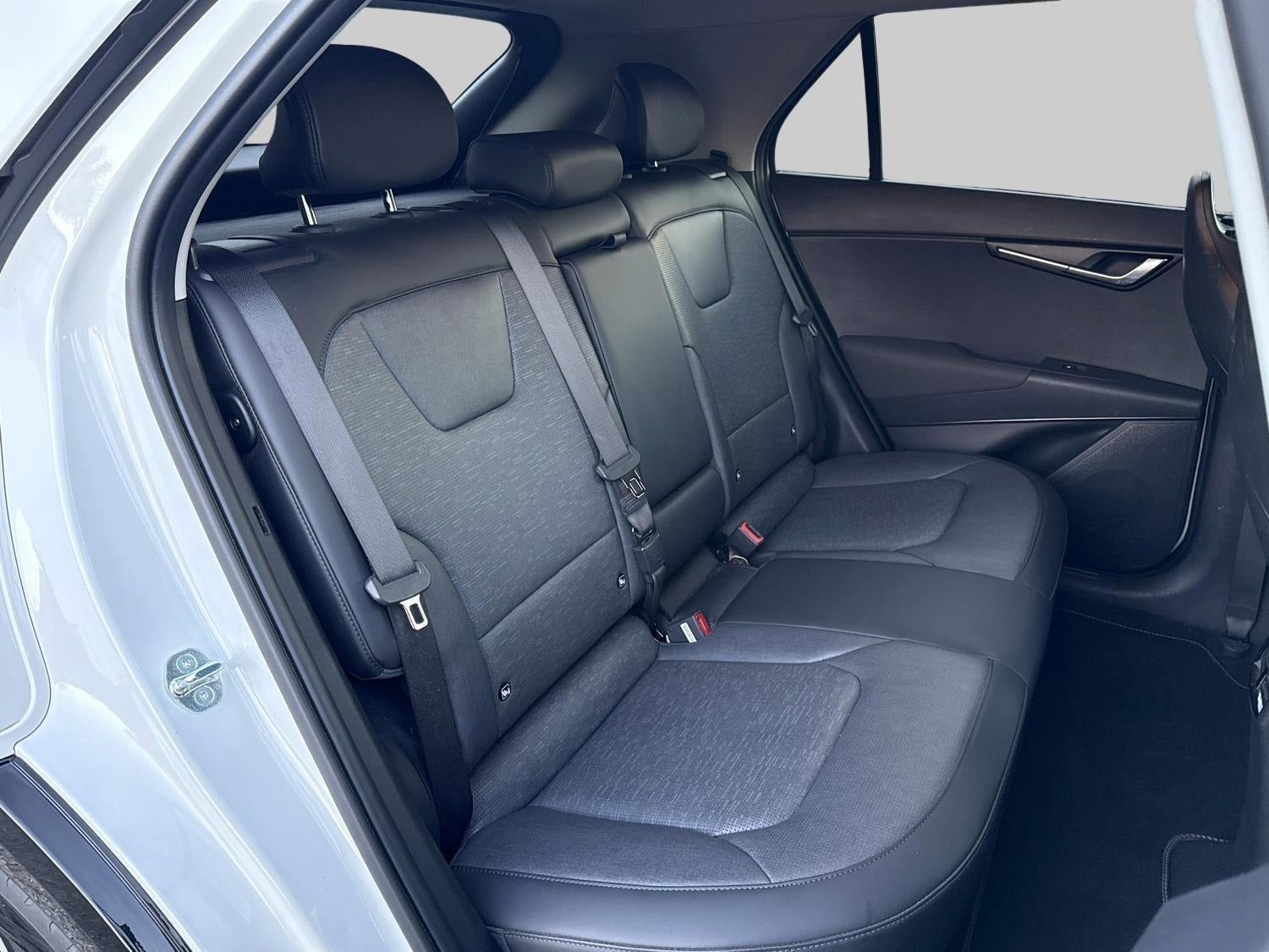 Billede af Kia Niro 64 EV Spirit