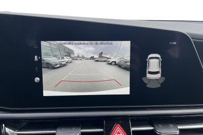Kia Niro EV Access