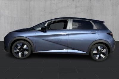 BYD Dolphin Design - 1