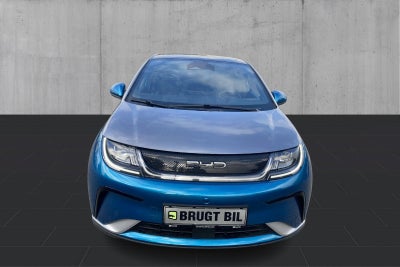 BYD Dolphin Design