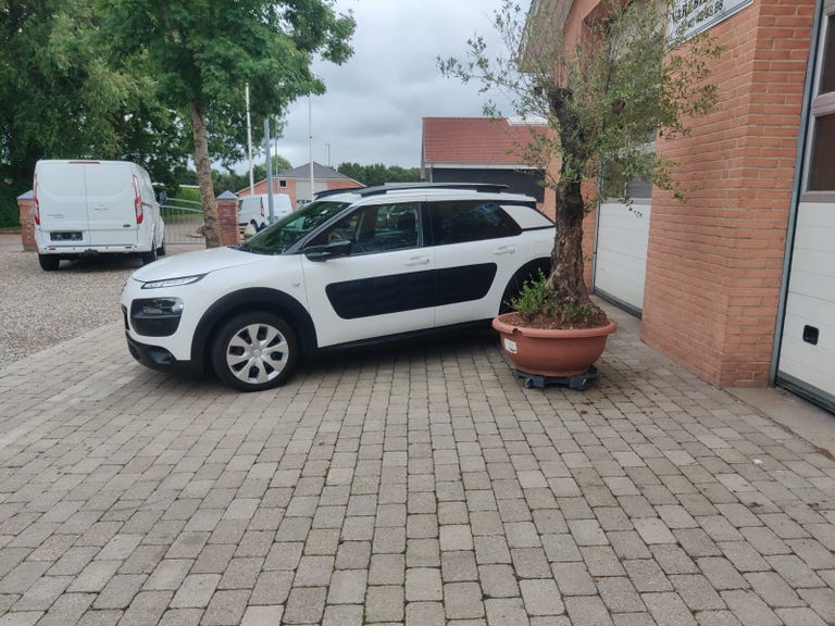 Citroën C4 Cactus BlueHDi 100 Feel Van
