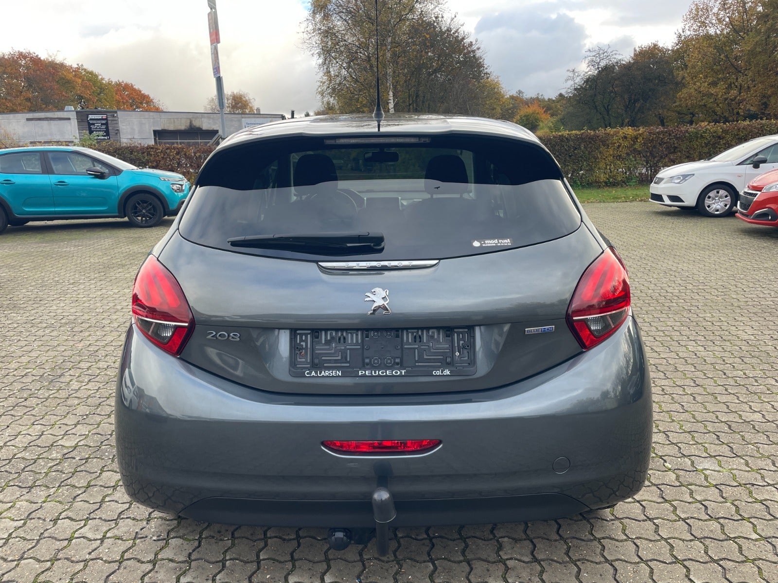 Peugeot 208 BlueHDi 100 Sky Winter Edition